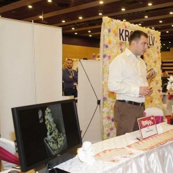 Wedding Day EXPO 2015/2-