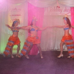 Wedding Day EXPO 2015/2-