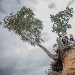 Oriģinālas kāzas- - 